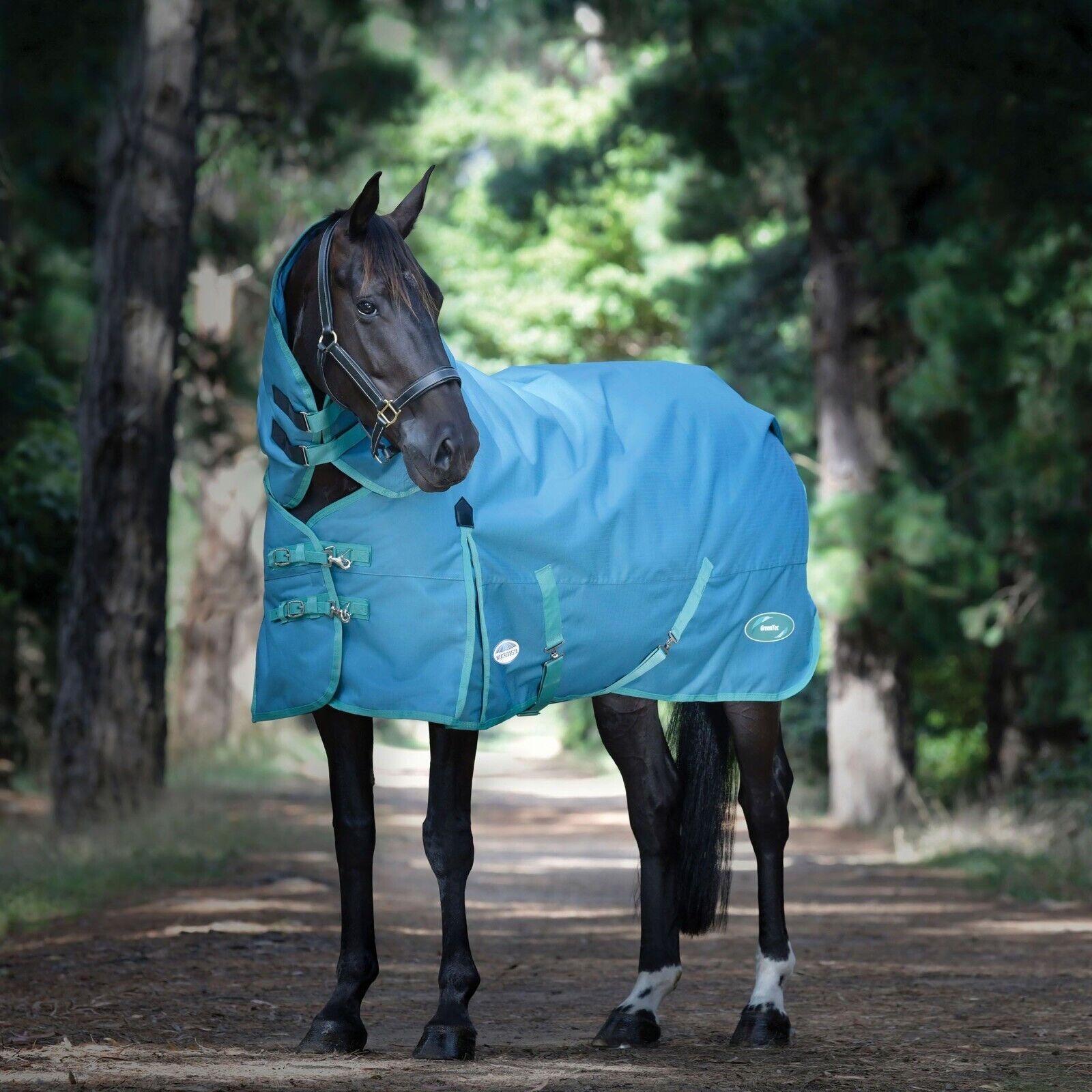 Picture of Weatherbeeta Green-Tec 50g Turnout Rug, 1200Den, Detach-A-Neck, Lightweight