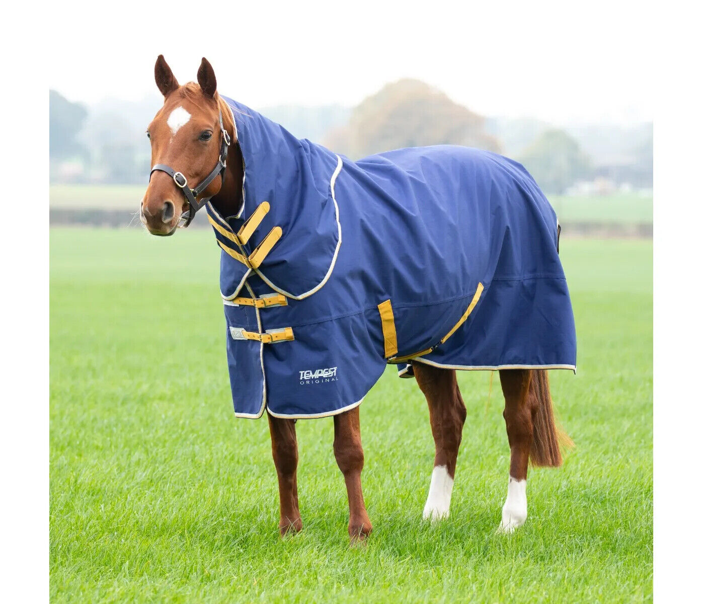 Picture of Shires Tempest 50g Lightweight Turnout Rug & Neck Set | Horse Pony | 2 Colours