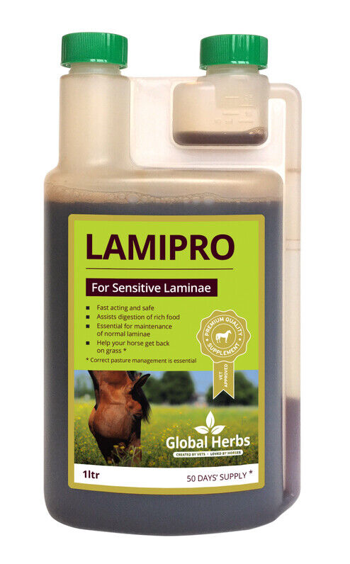 Picture of Global Herbs LamiPro Liquid, 500ml or 1 ltr.  For Laminitis Prone Horses/ponies