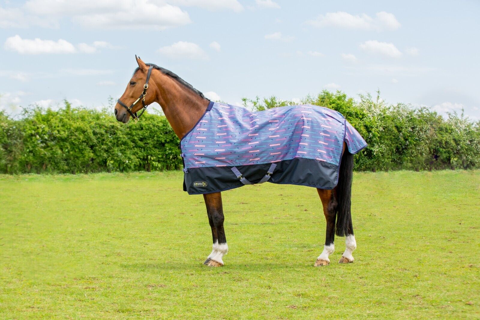Picture of HY StormX Lightweight Original Dorris The Dachshund 0g Horse Turnout Rug