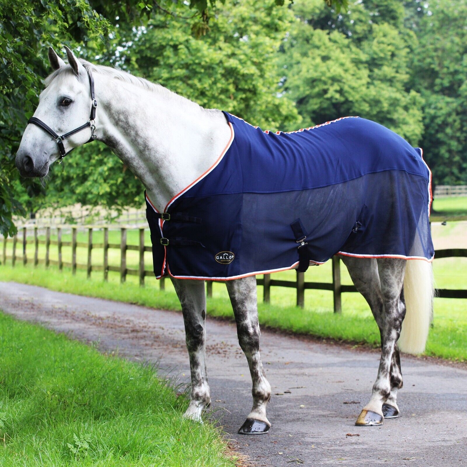 Picture of GALLOP Jersey Mesh Horse Cooler / Travel Rug | Lightweight | 4'6" - 7'0"