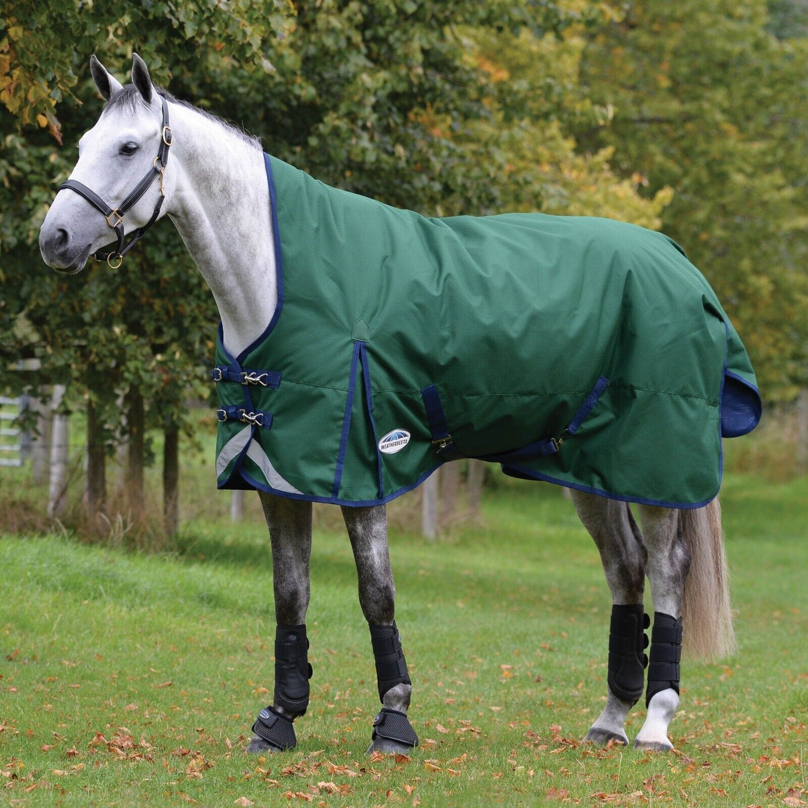 Picture of Weatherbeeta Comfitec Plus Dynamic II Turnout Rug 100g 1200Den, High Neck