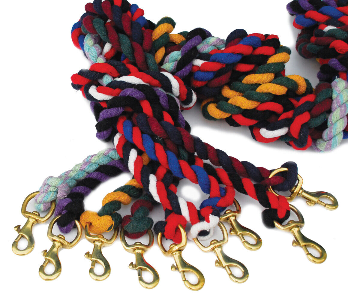Picture of Rhinegold Twin Coloured Lead Rope | 8 Colours Options | Brass Trigger Clip