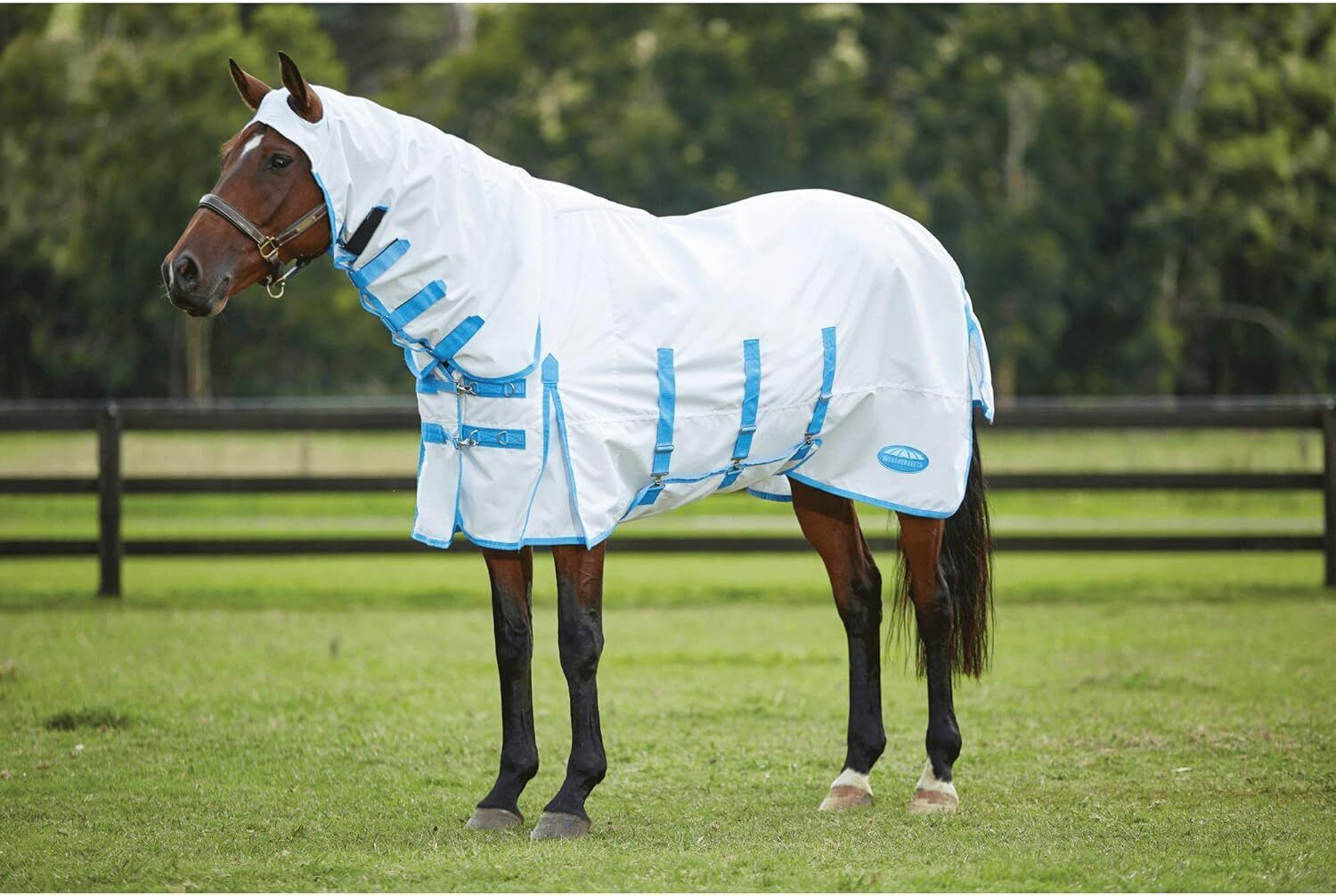Picture of WeatherBeeta ComFiTec Sweet Itch Shield Fly Horse Rug,  Full Neck, Belly Band