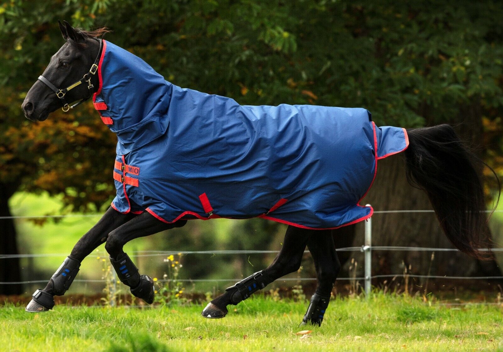 Picture of Horseware Mio All In One 350g Full Neck Heavyweight Turnout Horse Rug Combo