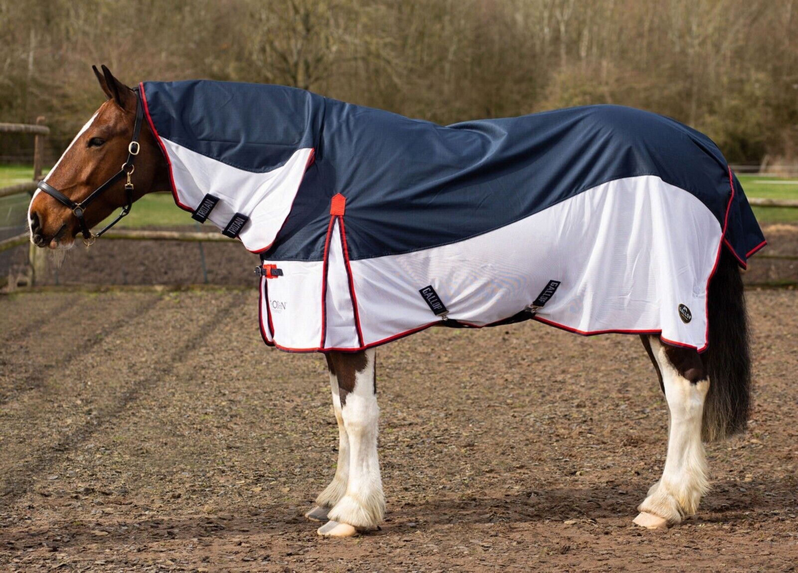 Picture of Gallop Waterproof Fly Turnout Rug Combo Full Neck Lightweight Horse, UV Protect,