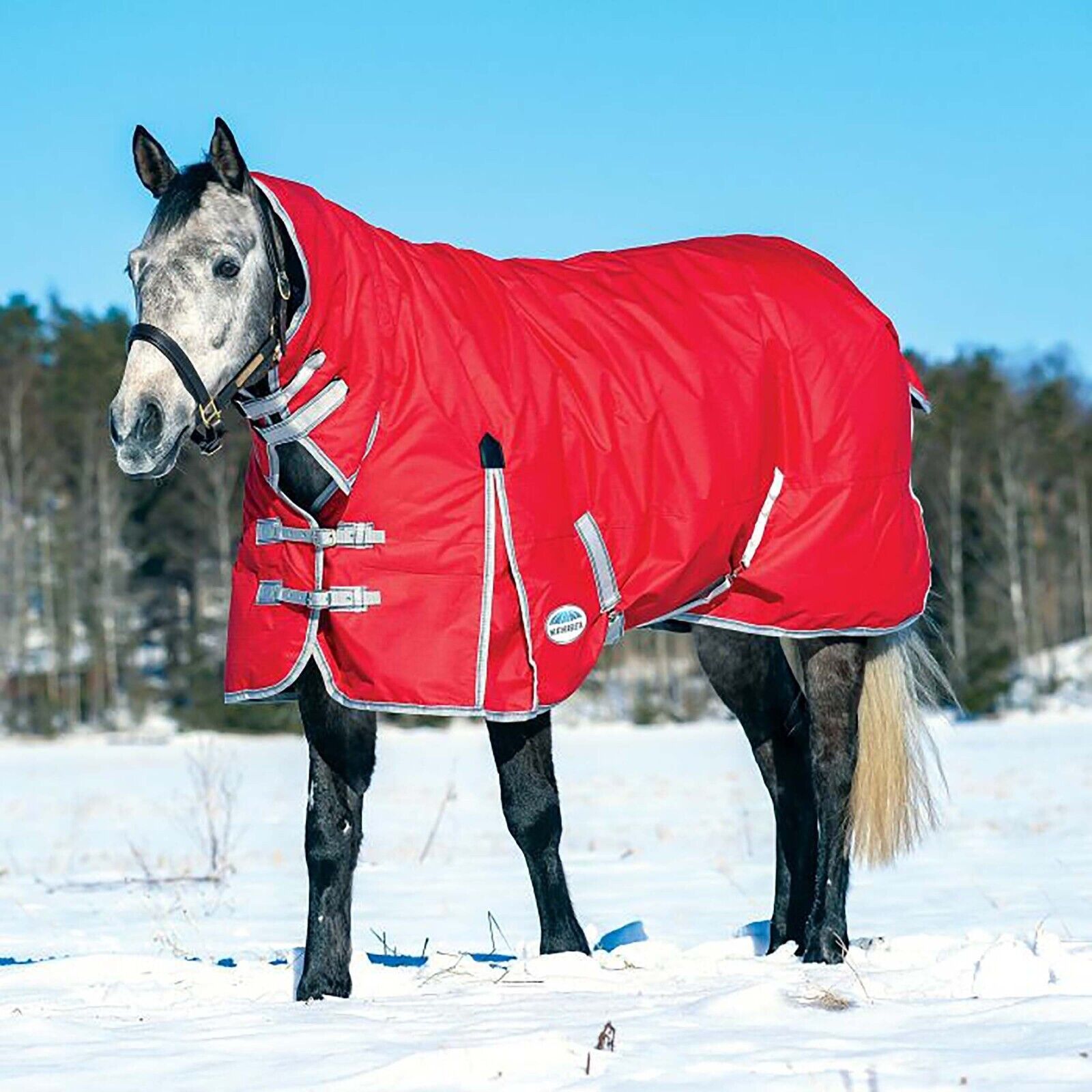 Picture of WeatherBeeta ComFiTec Classic Turnout Rug, 300g, Combo Full Neck, Heavy,  600D