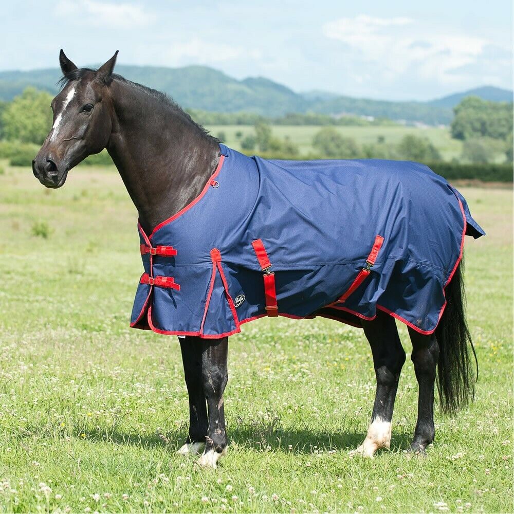 Picture of Gallop Trojan 200G Mediumweight Horse Turnout Rug Standard Neck, Navy/Red