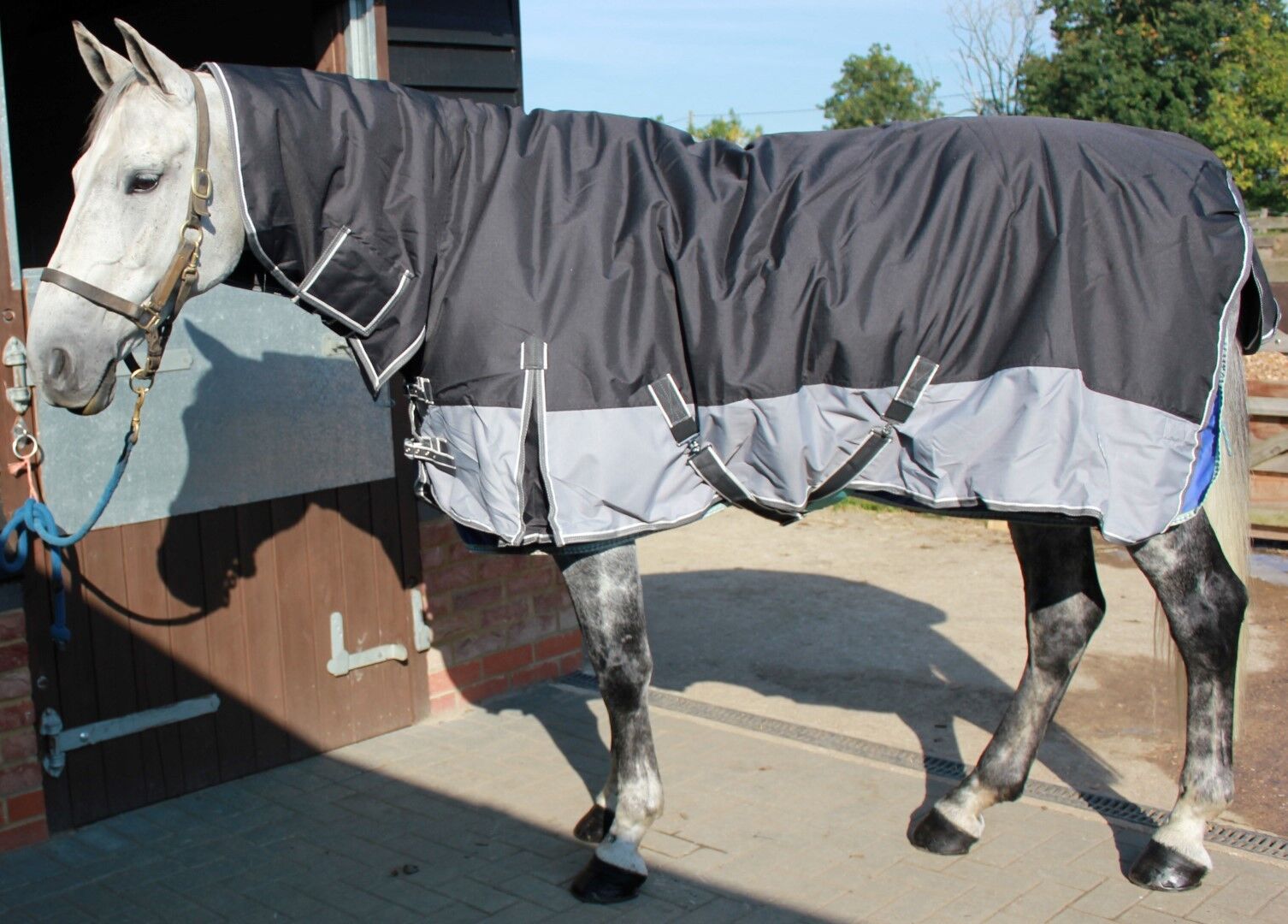 Picture of Heavyweight Horse Turnout Rug, 350g  Rhinegold Aspen  Combo, Full Neck,  Winter