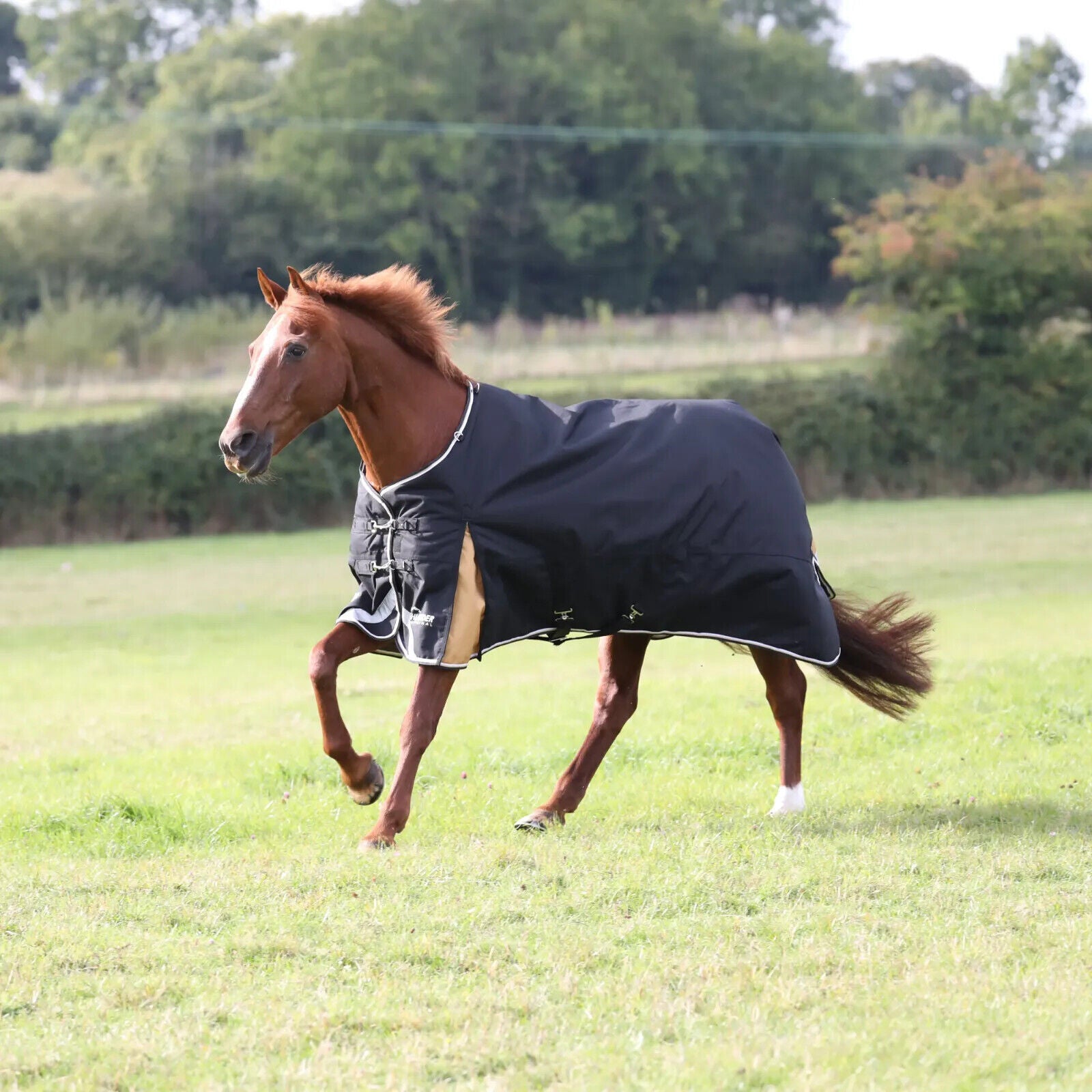 Picture of Shires Highlander Plus 200g Mediumweight Turnout Rug Horse Pony,  1200d