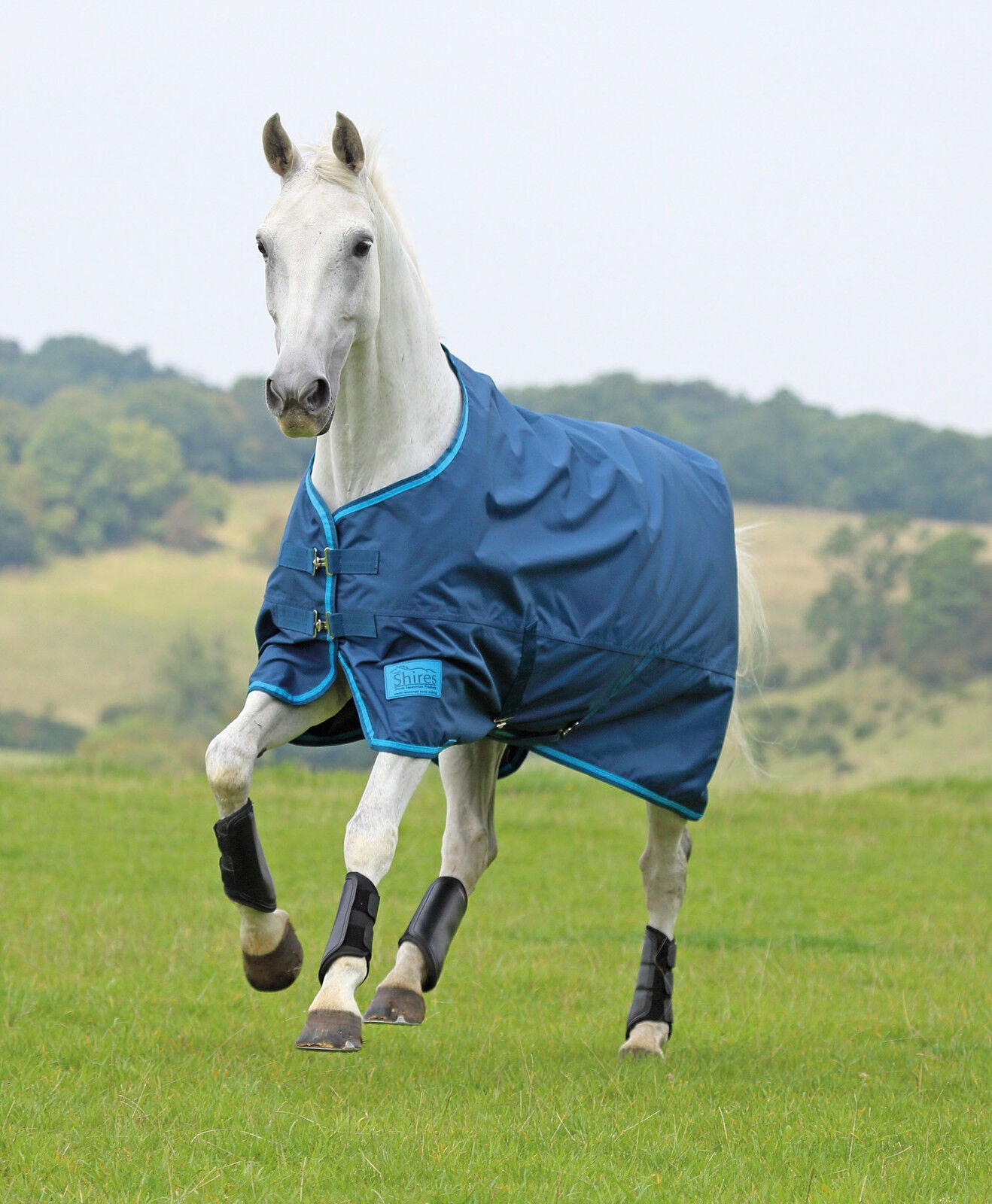 Picture of Shires Tempest Lite Summer Turnout Rug horse pony lightweight waterproof outdoor