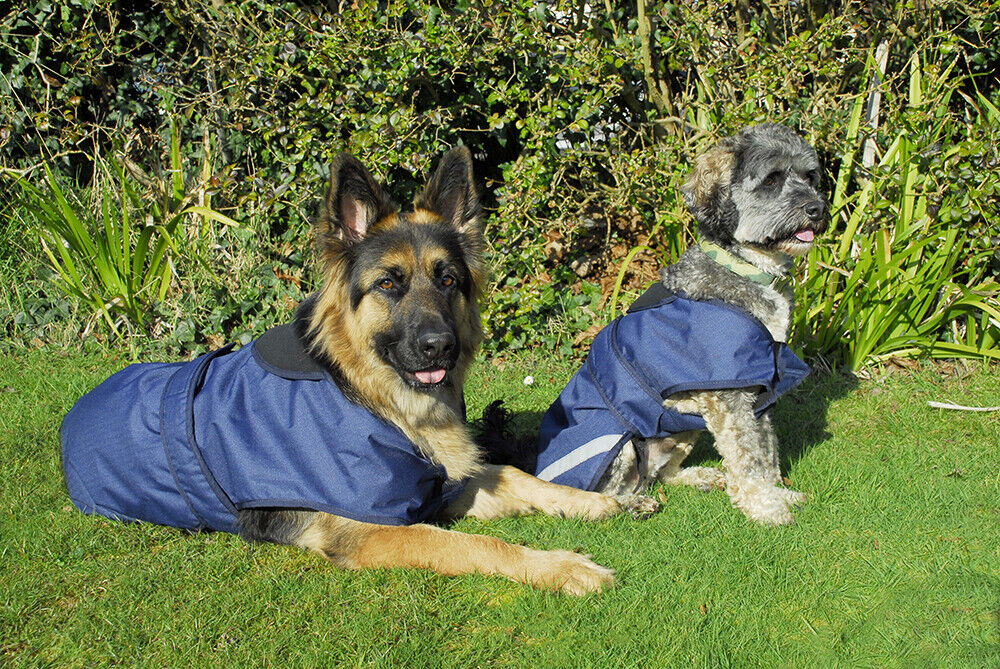 Picture of Rhinegold Highland Waterproof Dog Coat | Outdoor | XS-XXL | 2 Colours