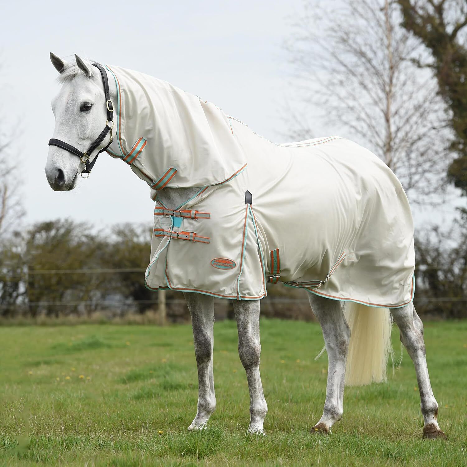 Picture of WeatherBeeta ComFiTec Essential Mesh  Fly Horse Rug, Combo Full Neck, 3 Colours