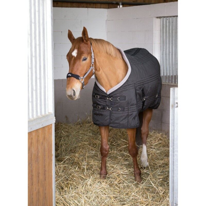 Picture of Ekkia Equi-Theme 400g Stable Horse Rug, 1200 Denier, Cooltech lining