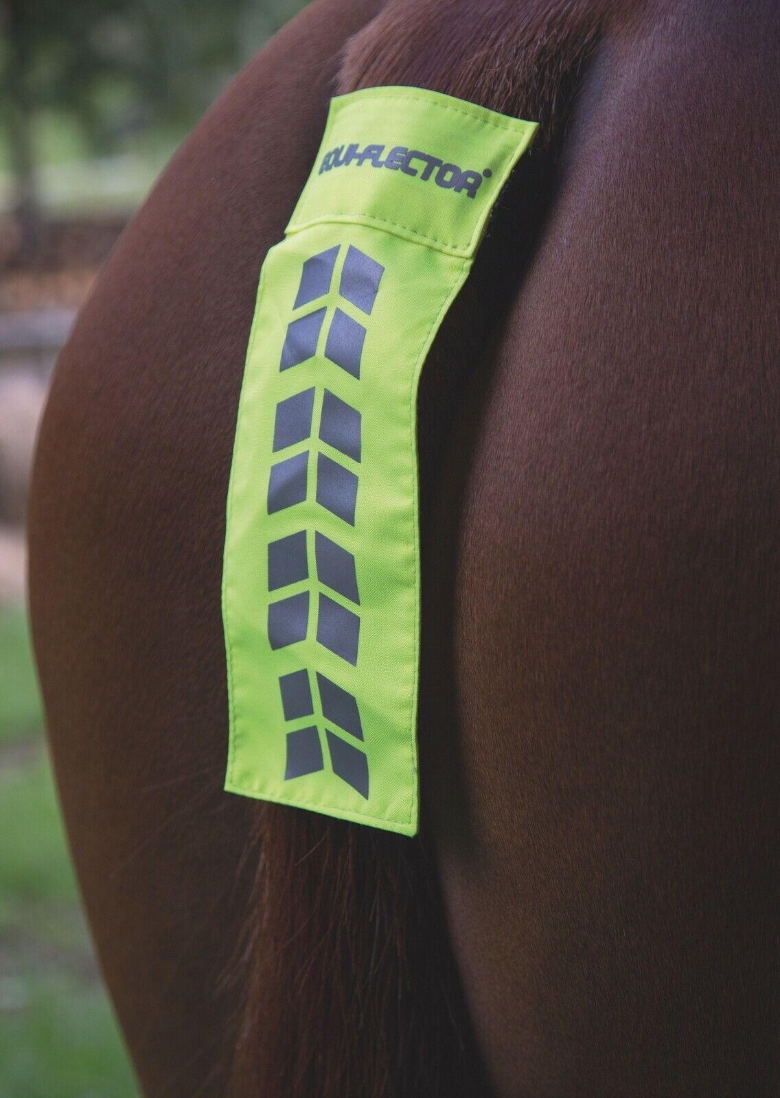 Picture of Shires Equi-Flector Reflective Tail Strap | Pink, Yellow, Orange