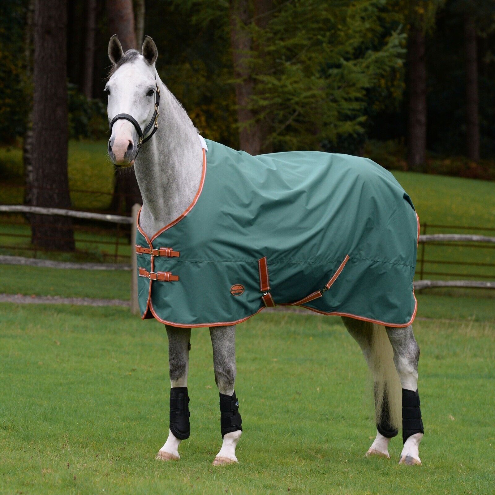 Picture of Weatherbeeta Comfitec Turnout Rug, Tyro Std Neck, Lite Plus, 50g, 2 Colours