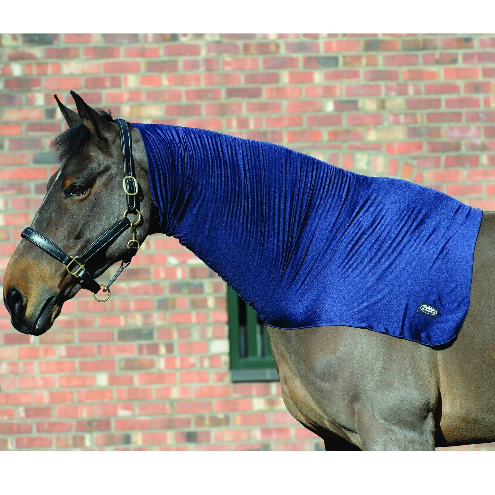 Picture of Weatherbeeta Stretch Neck Hood,  Show Prep Horse Neck Hood.