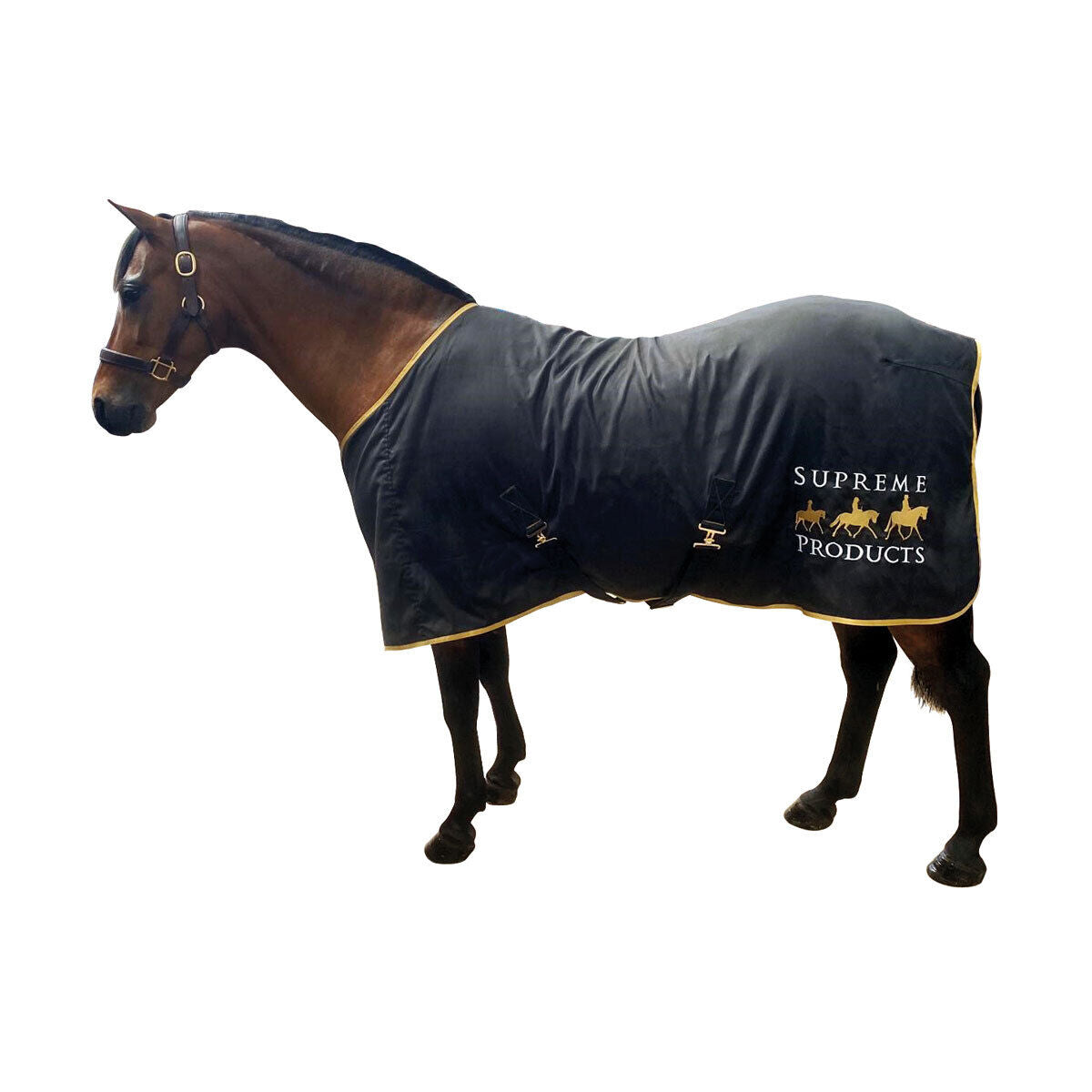 Picture of Supreme Products Show Sheet, Horse Travel Sheet, Lightweight, Black/Gold,