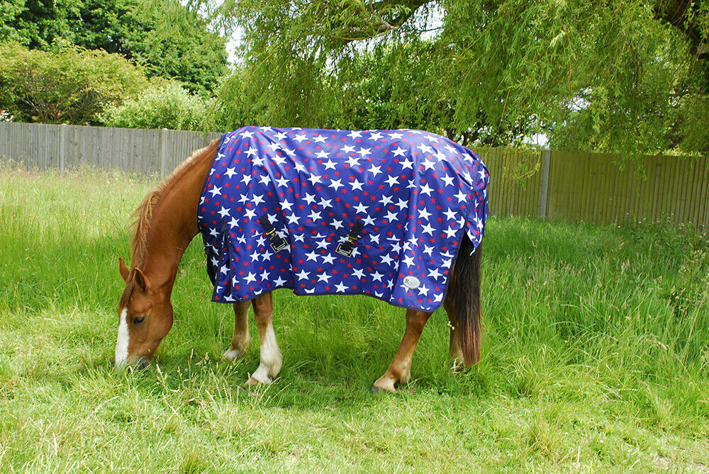 Picture of Rhinegold Torrent Lightweight No Fill Horse Turnout Outdoor Rug 0g Waterproof