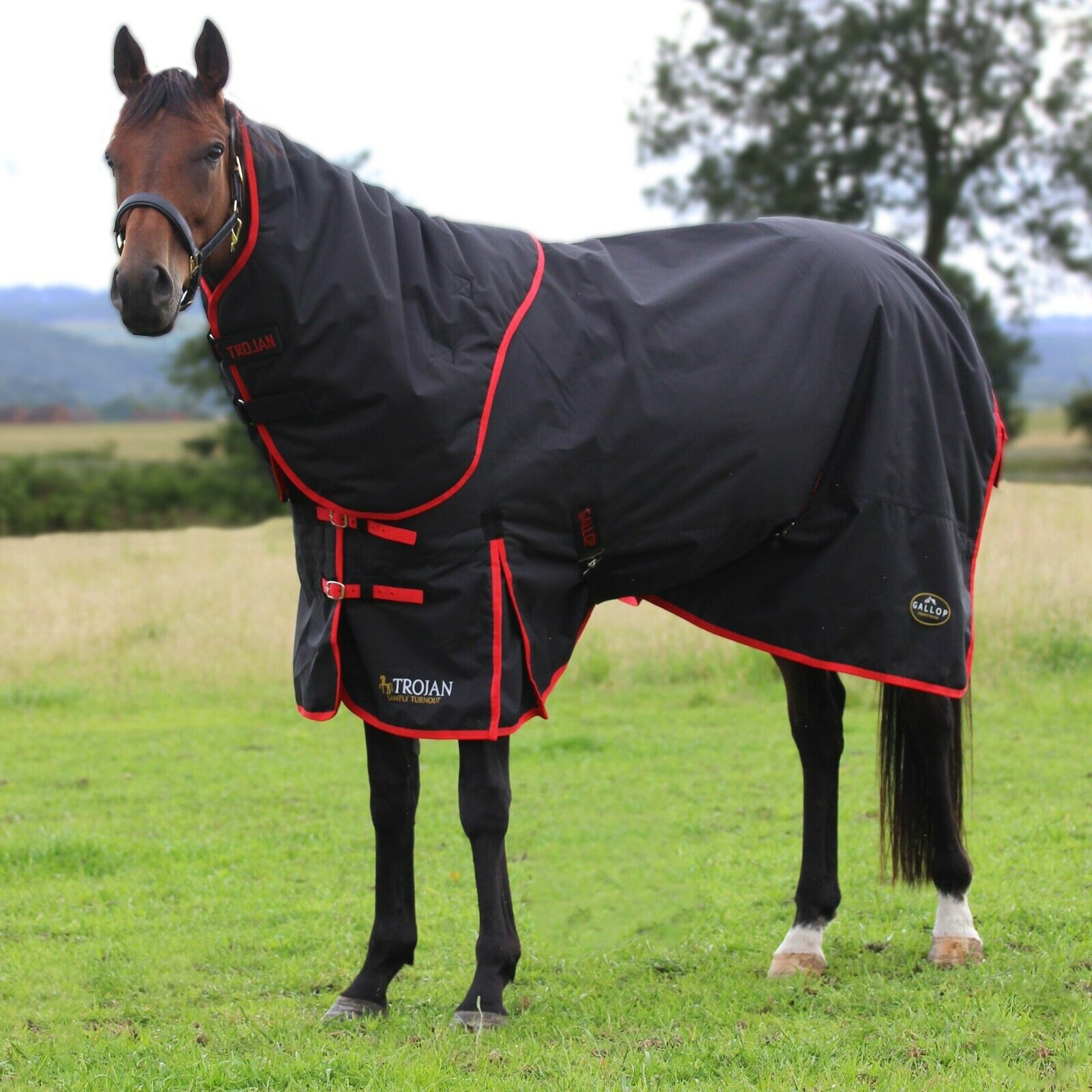 Picture of Gallop Trojan 200g Dual Set Mediumweight Horse Turnout Rug and Detachable Neck