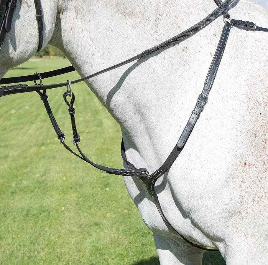 Picture of Shires Avignon Leather Breastplate | 3 Colours