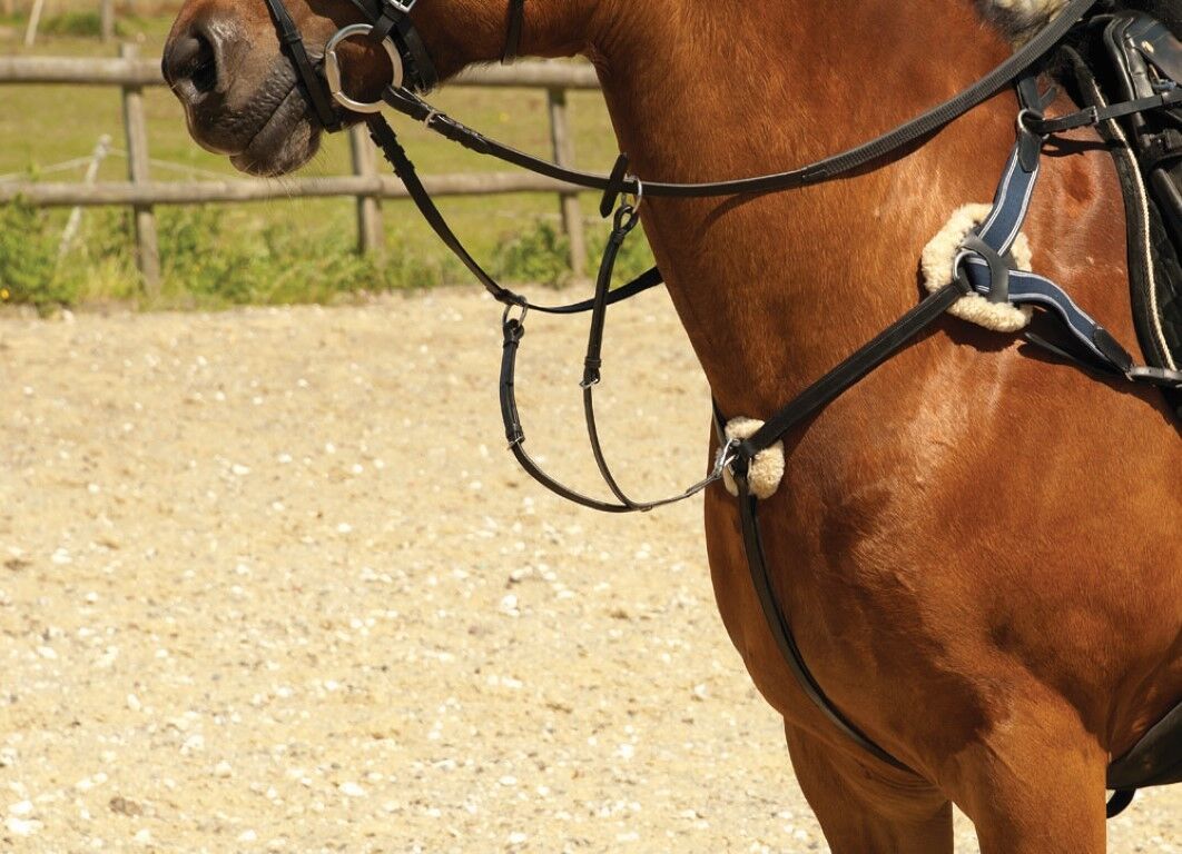 Picture of Windsor leather 5 five point breastplate with martingale black or havana