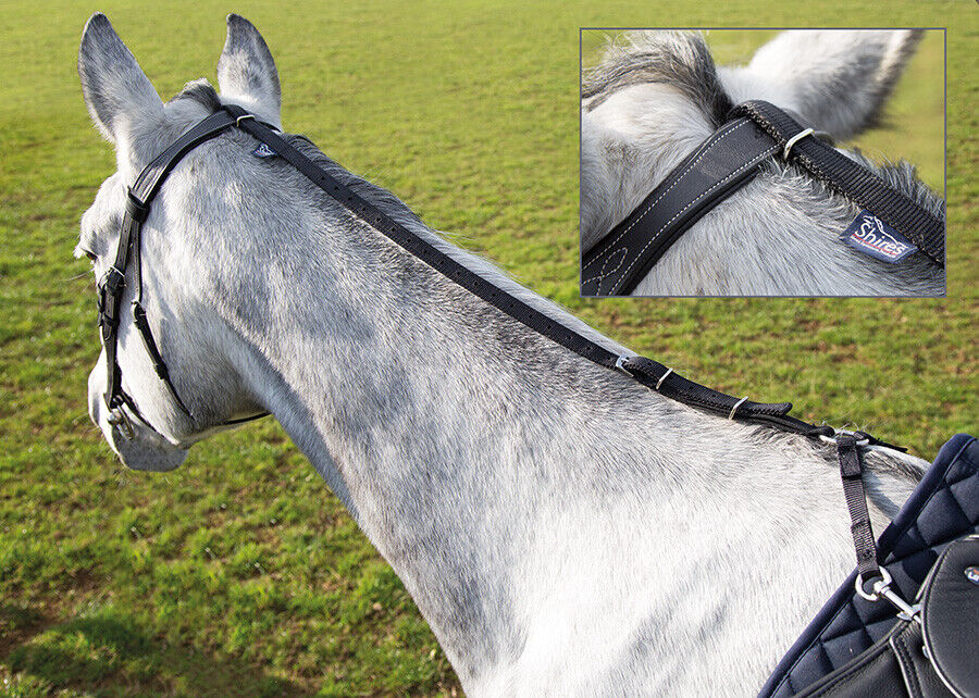 Picture of Shires Daisy Rein in Black,  Size Adjustable