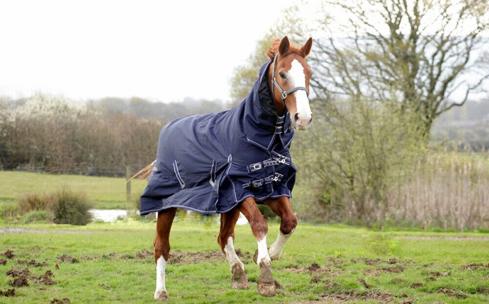 Picture of Rhinegold Arizona Combo Full Neck 100g Medium-Lightweight Horse Turnout Rug Navy