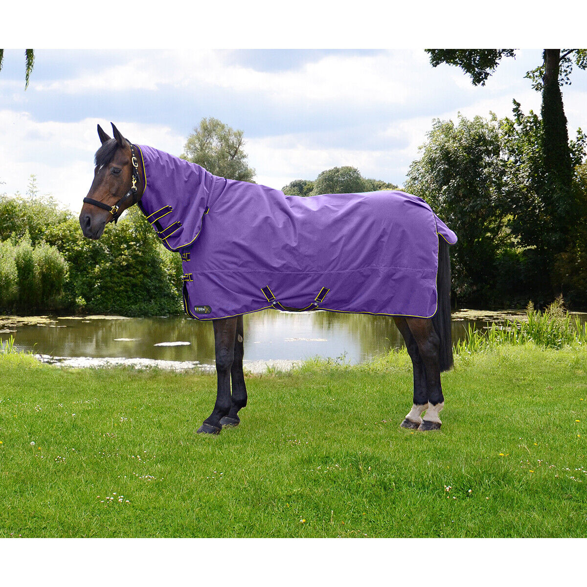 Picture of HY StormX Original 50g Horse Turnout Rug | Lightweight | Full Neck | Outdoor