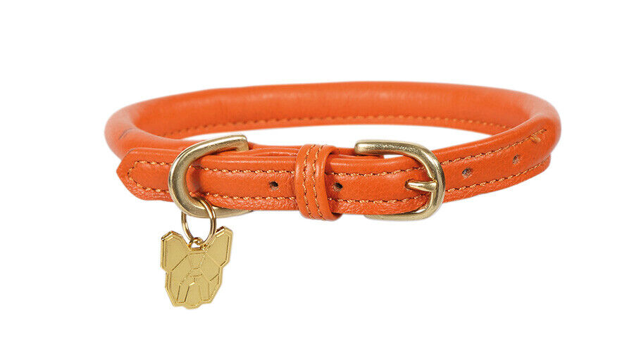 Picture of Digby & Fox Rolled Leather Dog Collar | 9 Sizes | 11 Colours