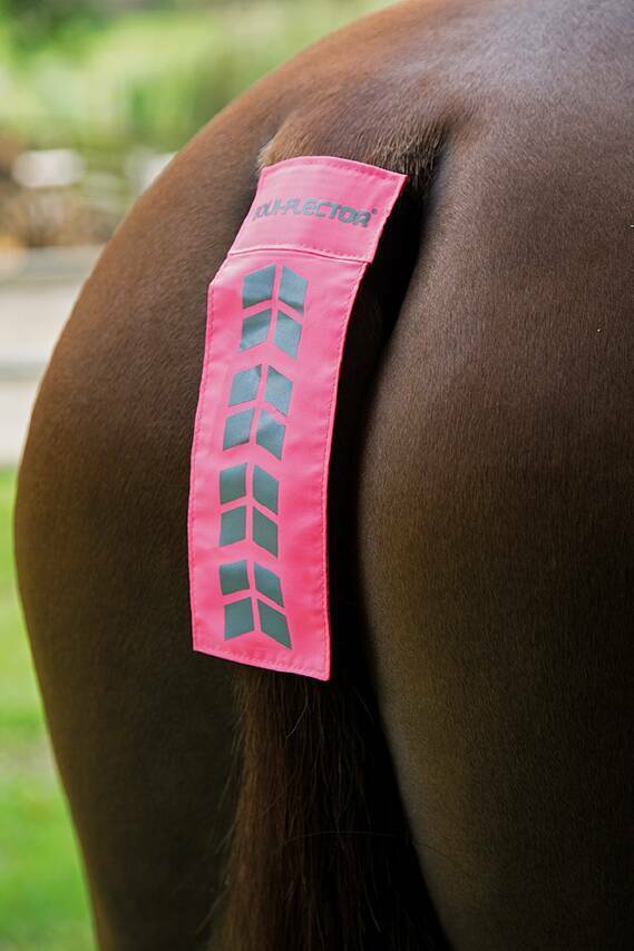 Picture of Shires Equi-Flector Reflective Tail Strap | Pink, Yellow, Orange