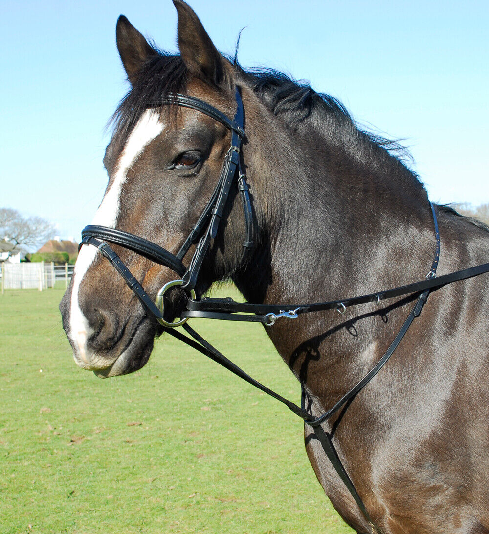 Picture of Heritage English Leather Market Harborough With Reins | Black,Havana | Cob, Full