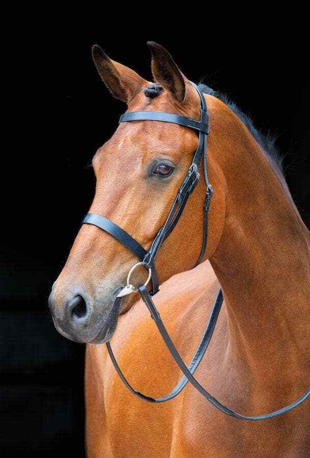 Picture of Shires Salisbury Berrington Horse / Pony Snaffle Bridle |  Black or Aus Nut