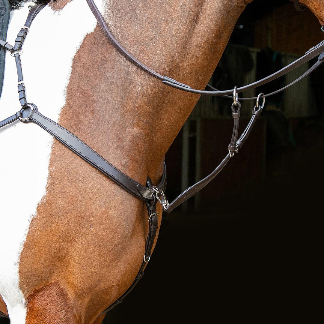 Picture of Shires Velociti Rapida Ergonomic Breastplate | 2 Colours | 3 Sizes