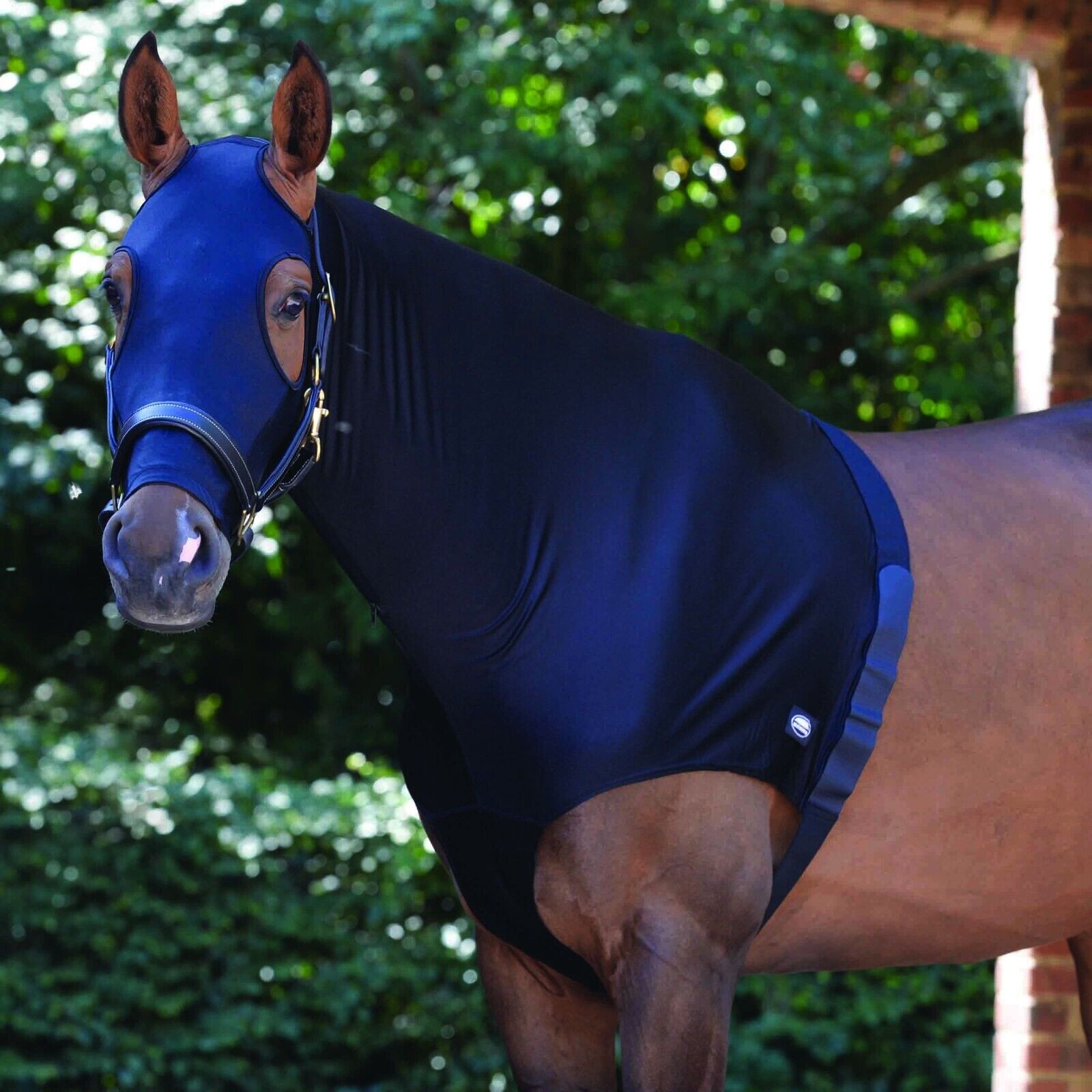 Picture of Weatherbeeta Stretch Hood with Zip,  Show Prep Horse Neck Hood.