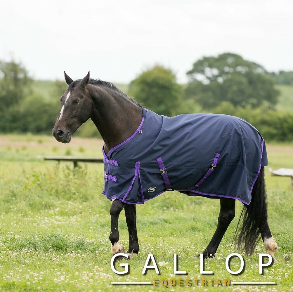 Picture of Gallop Trojan 0G Fill LightWeight Horse Turnout Rug  Standard Neck Navy/Purple