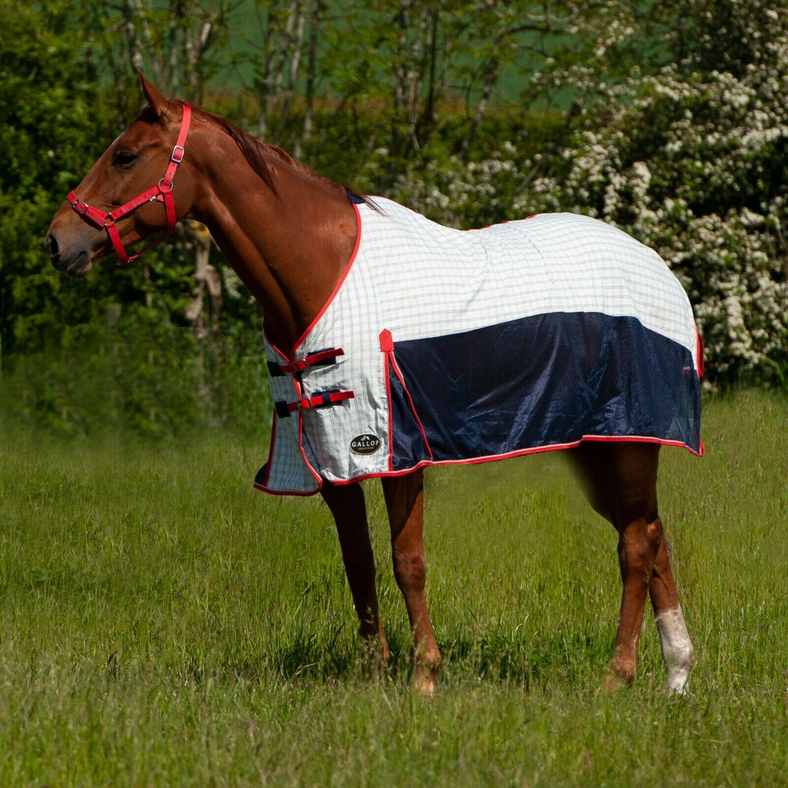 Picture of Gallop Summer Sheet Air-Mesh Standard Neck, Horse Turnout, Lightweight Fly Rug,