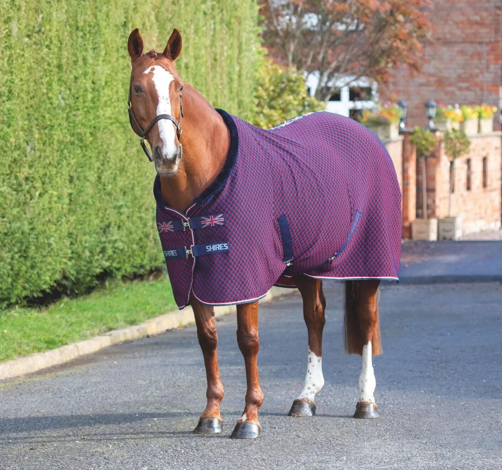 Picture of Shires Tempest Original Team Shires Show Horse Rug, Navy,  Sizes 5'6"-7'0"