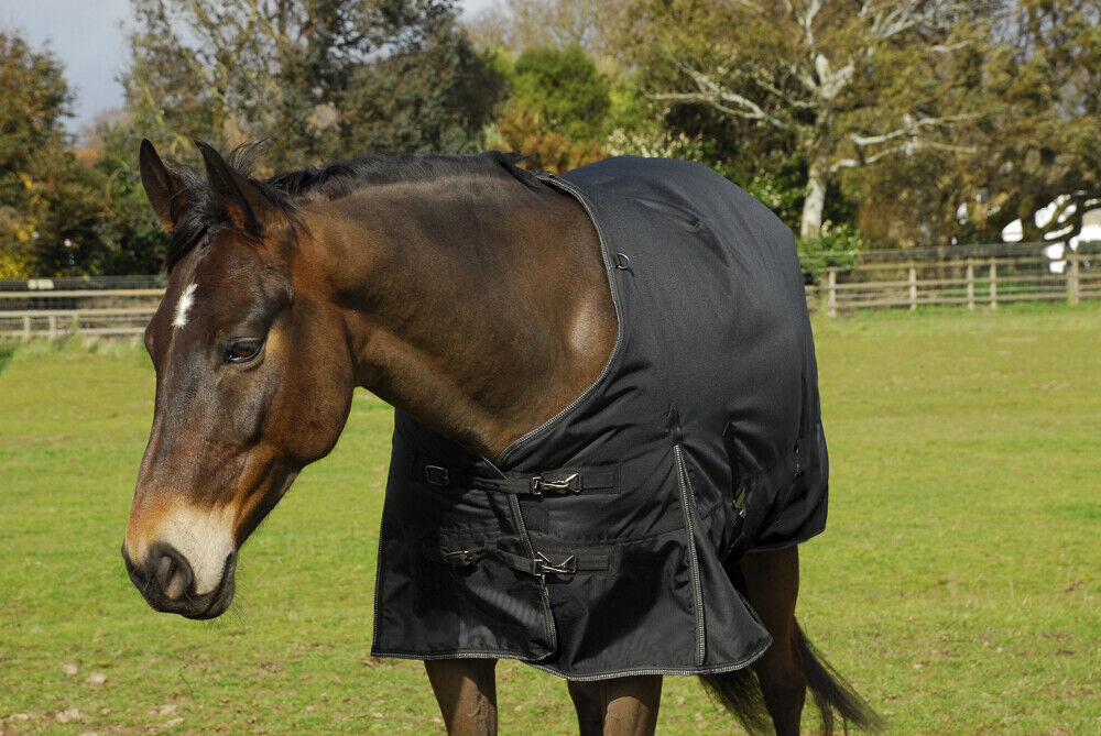 Picture of Rhinegold Meribel Outdoor Turnout Horse Rug, 350gsm Fill, 1680 Denier