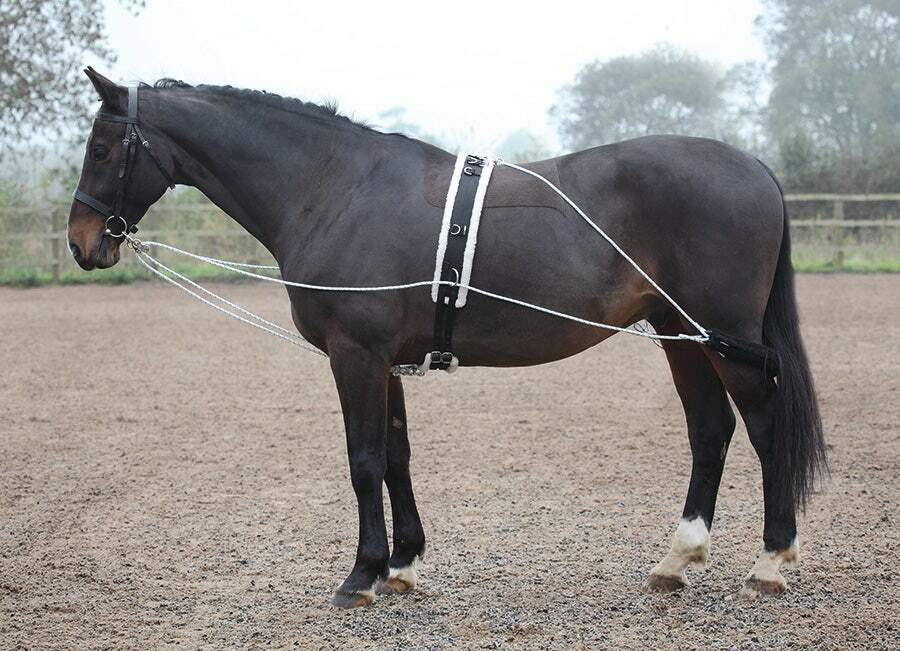 Picture of Shires Lunging Training Aid | Black |One Size | Adjustable to 4 Levels