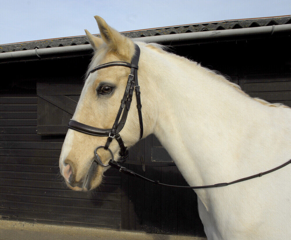 Picture of Heritage Anatomical Bridle with Cavesson Noseband | Black or Havana | 4 Sizes