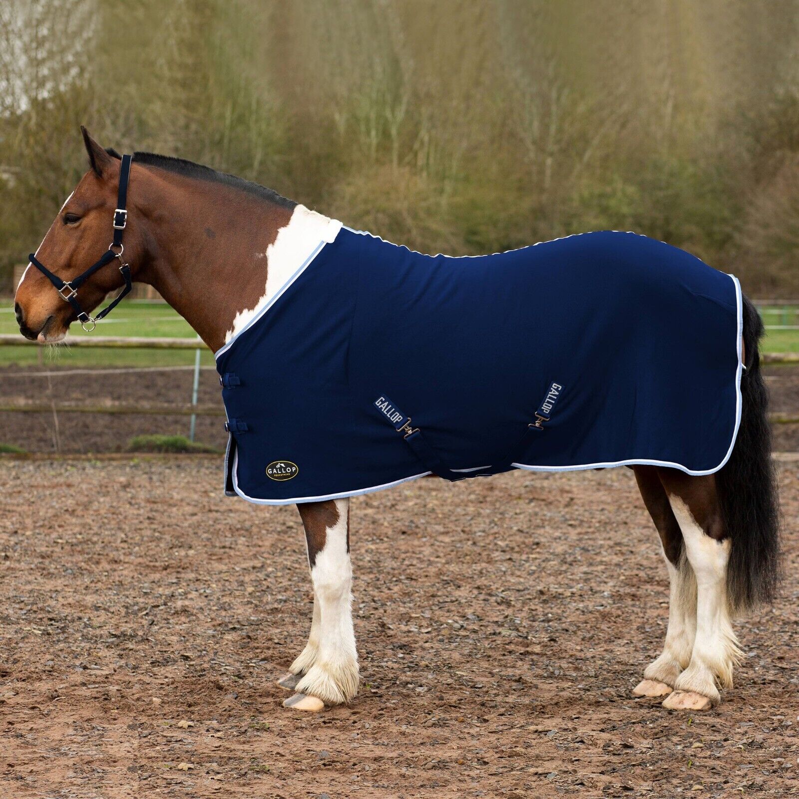 Picture of GALLOP Jersey Cooler / Travel Horse Rug | Lightweight | 4'9" - 7'0", 4 Colours