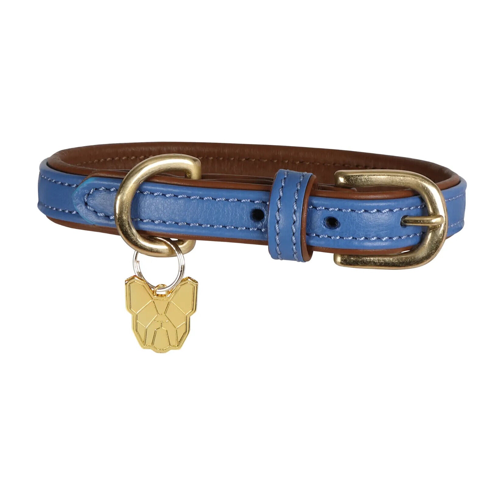 Picture of Shires Digby & Fox Padded Leather Dog Collar | 8 Sizes | 7 Colours