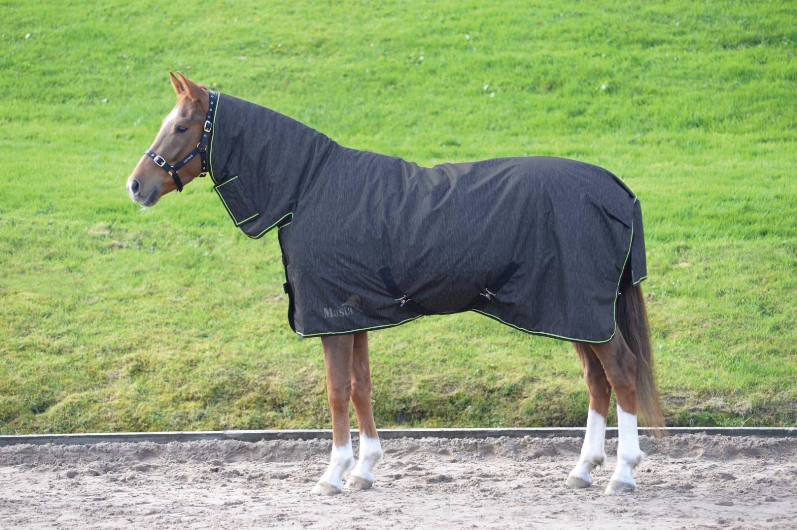 Picture of Masta Avante 170g 600 Denier Fixed Neck Mediumweight Winter Turnout Rug Combo