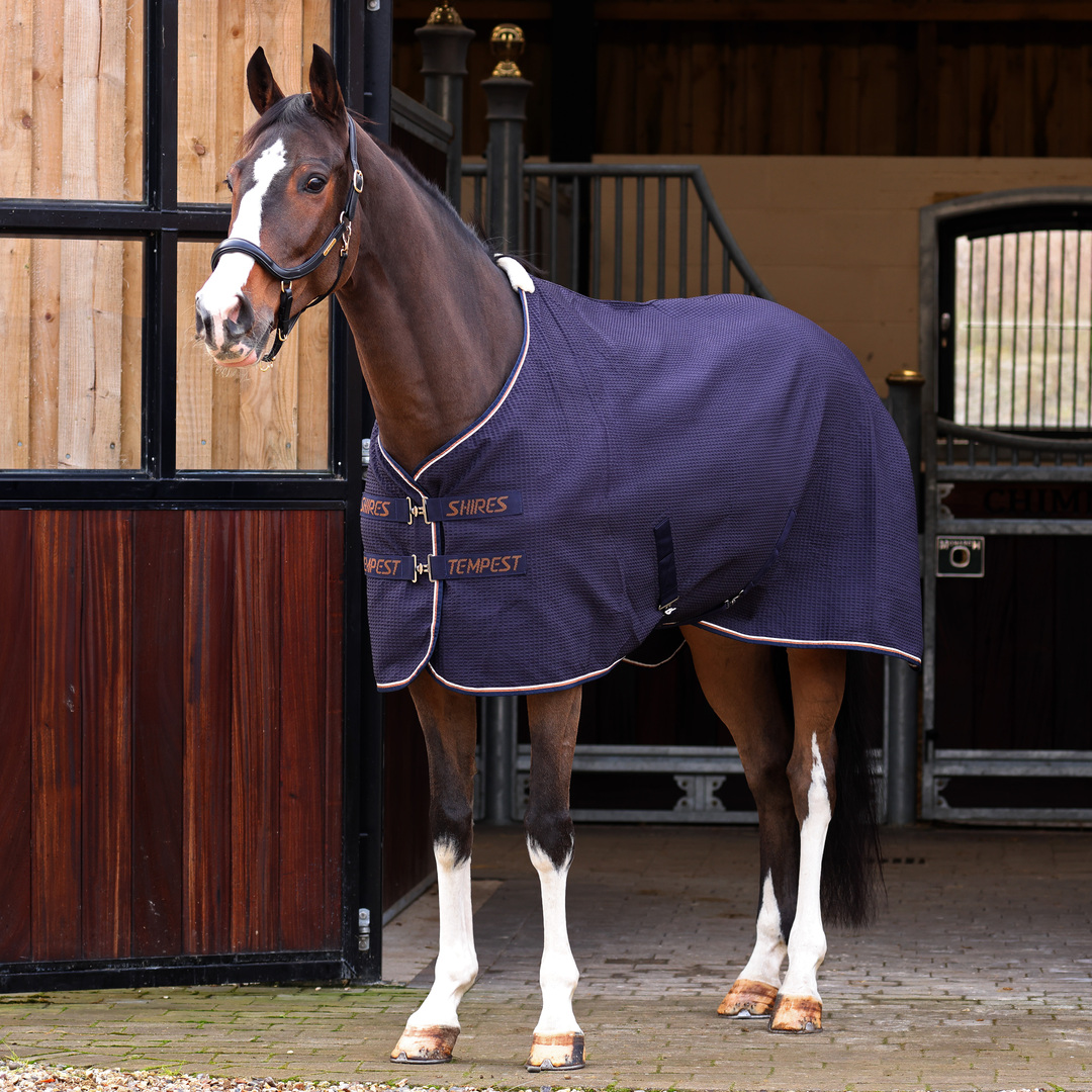 Picture of Shires Tempest Original Waffle Horse Rug, Navy,  Sizes 4'6"-7'0"