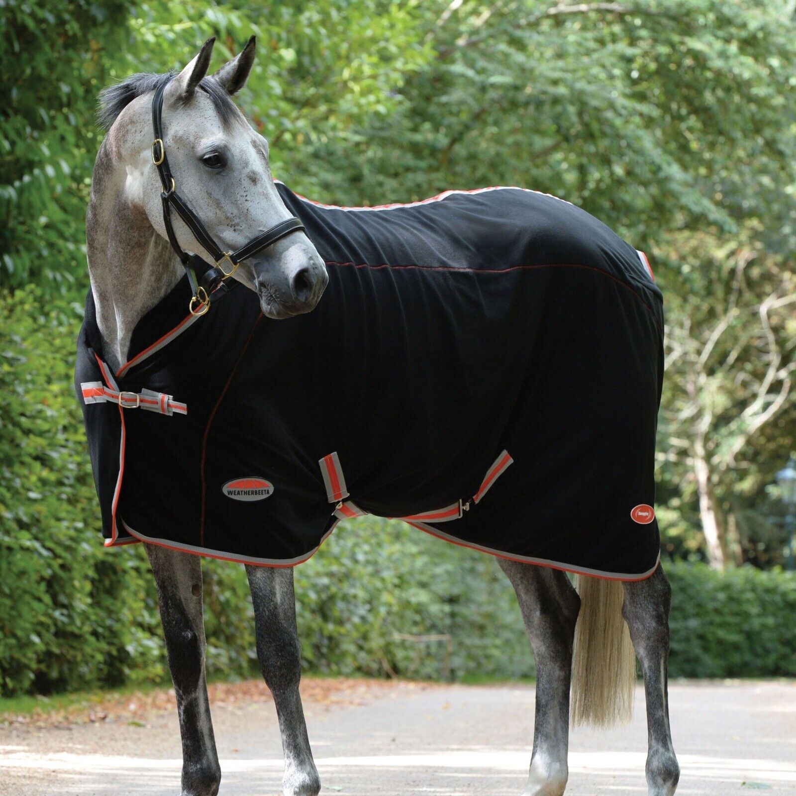 Picture of Weatherbeeta Therapy-Tec Fleece Cooler / Travel Rug, Std Neck
