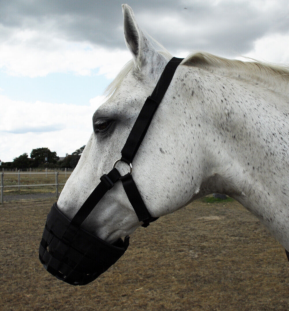 Picture of Grass Muzzle | Rhinegold Horse/Pony Grazing Muzzle | 5 Sizes