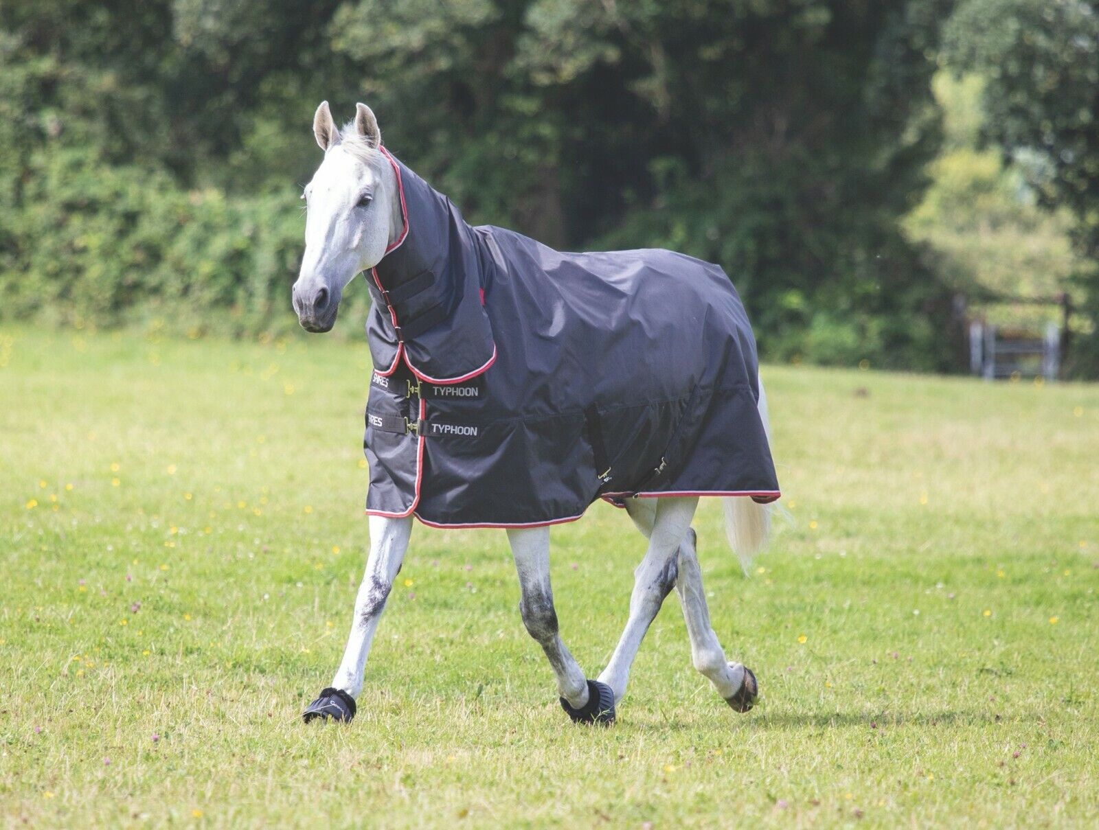Picture of Turnout Rug | Shires Typhoon 200g Mediumweight Horse/Pony Combo Full Neck | 840D