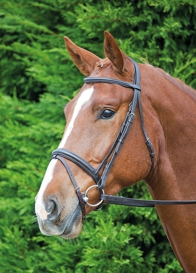 Picture of Shires Velociti Gara Comfort Fit Bridle | 2 Colours | 4 Sizes