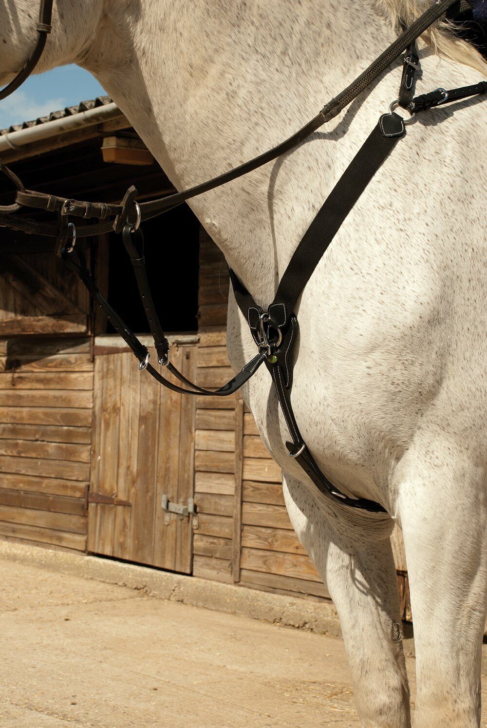 Picture of Rhinegold Leather V-Check Breastplate | Black or Havana | Cob, Full